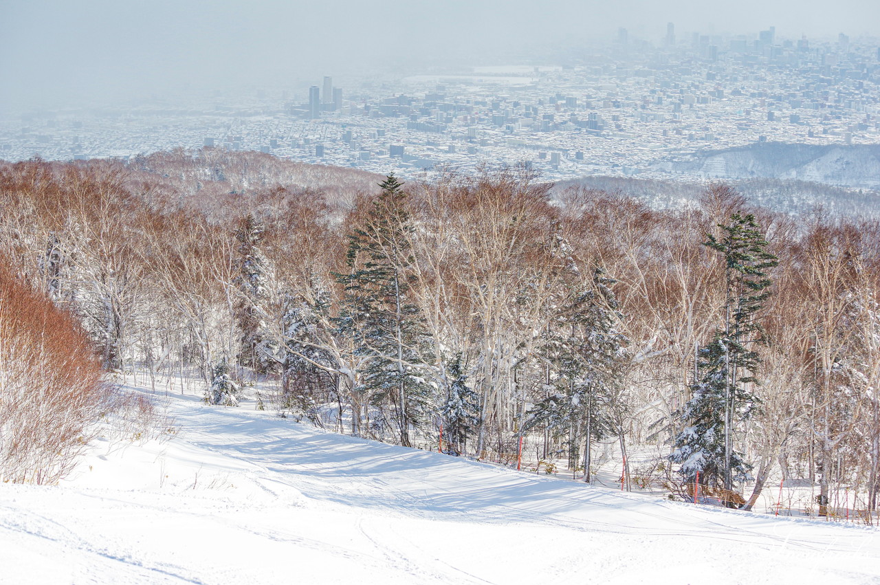 サッポロテイネ　これが北海道の冬。気温-11℃、澄んだ青空の下、パウダースノーが舞う天空のゲレンデ！